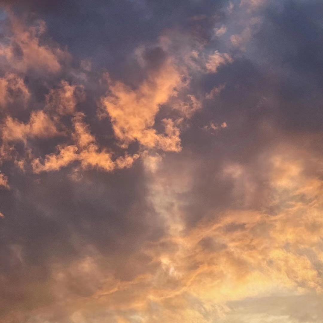 又菜又爱玩的婧子