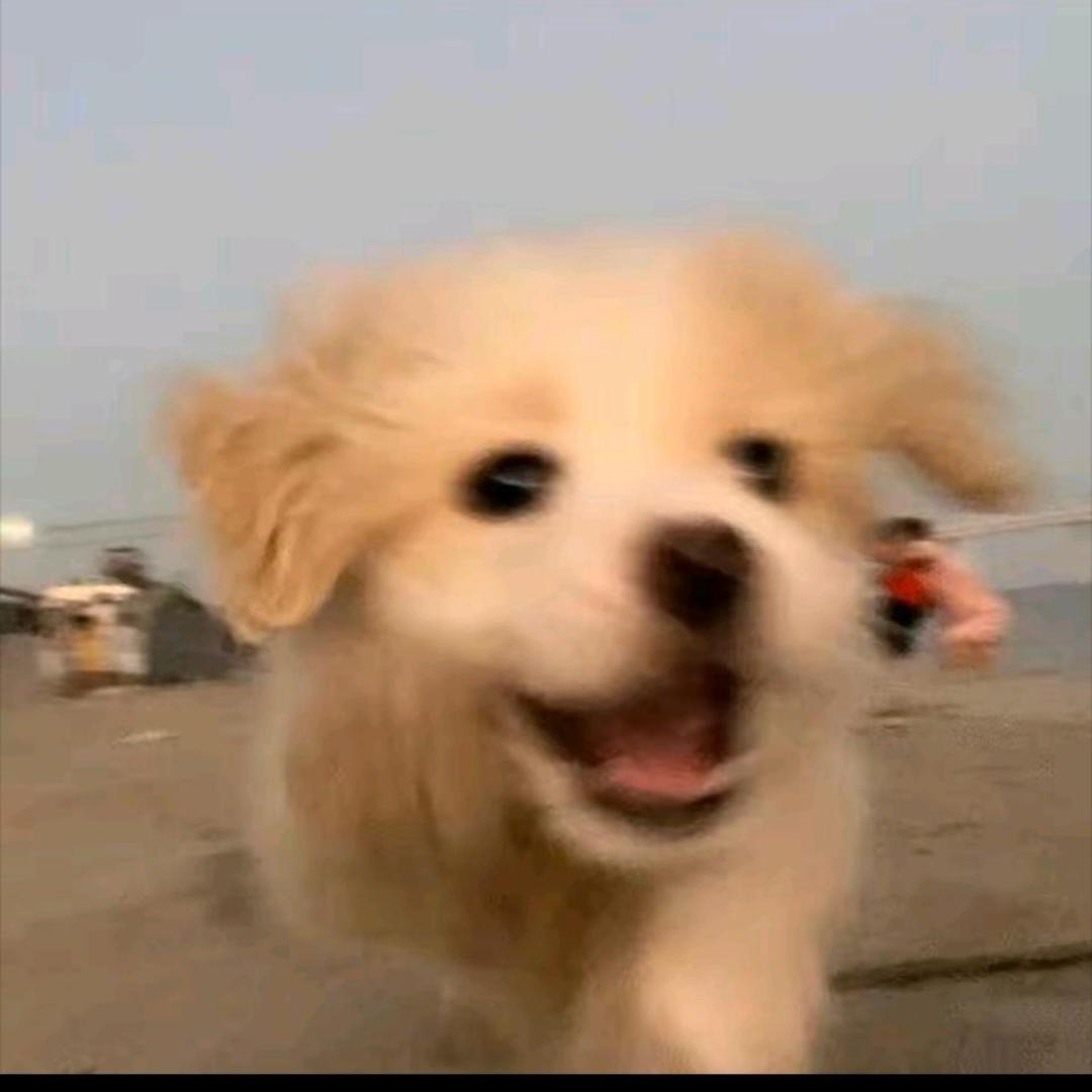 奔向光，幻想成为𝙀𝙫𝙖.🦋的🌞