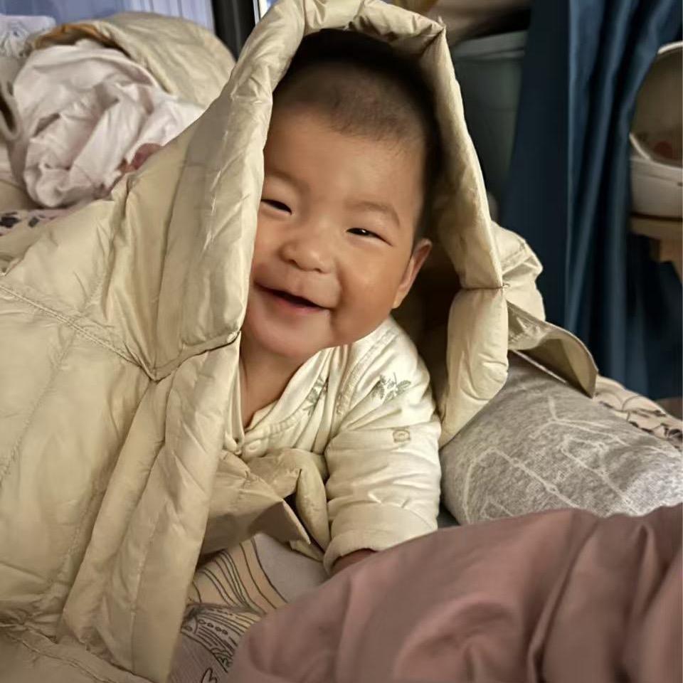 一棵红薯苗