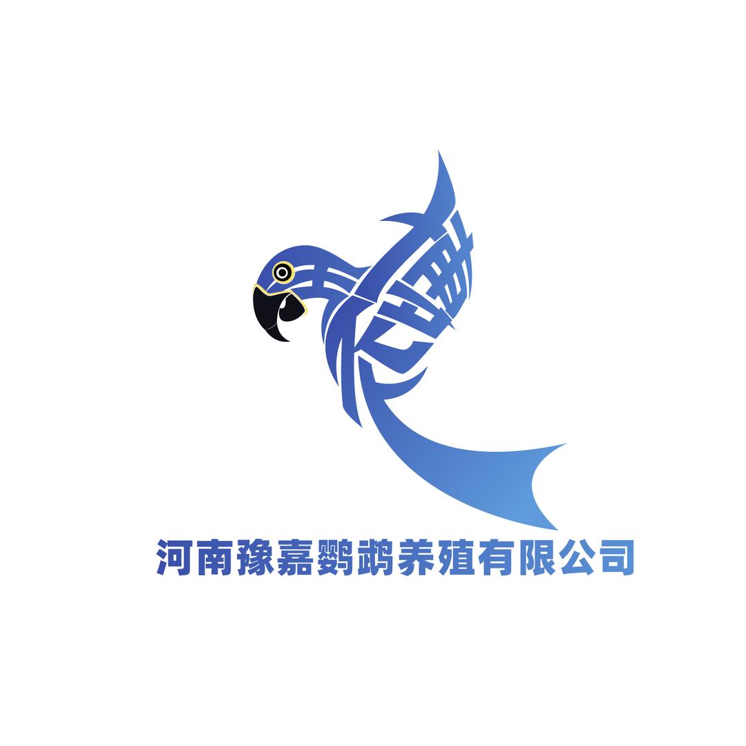 豫嘉鹦鹉