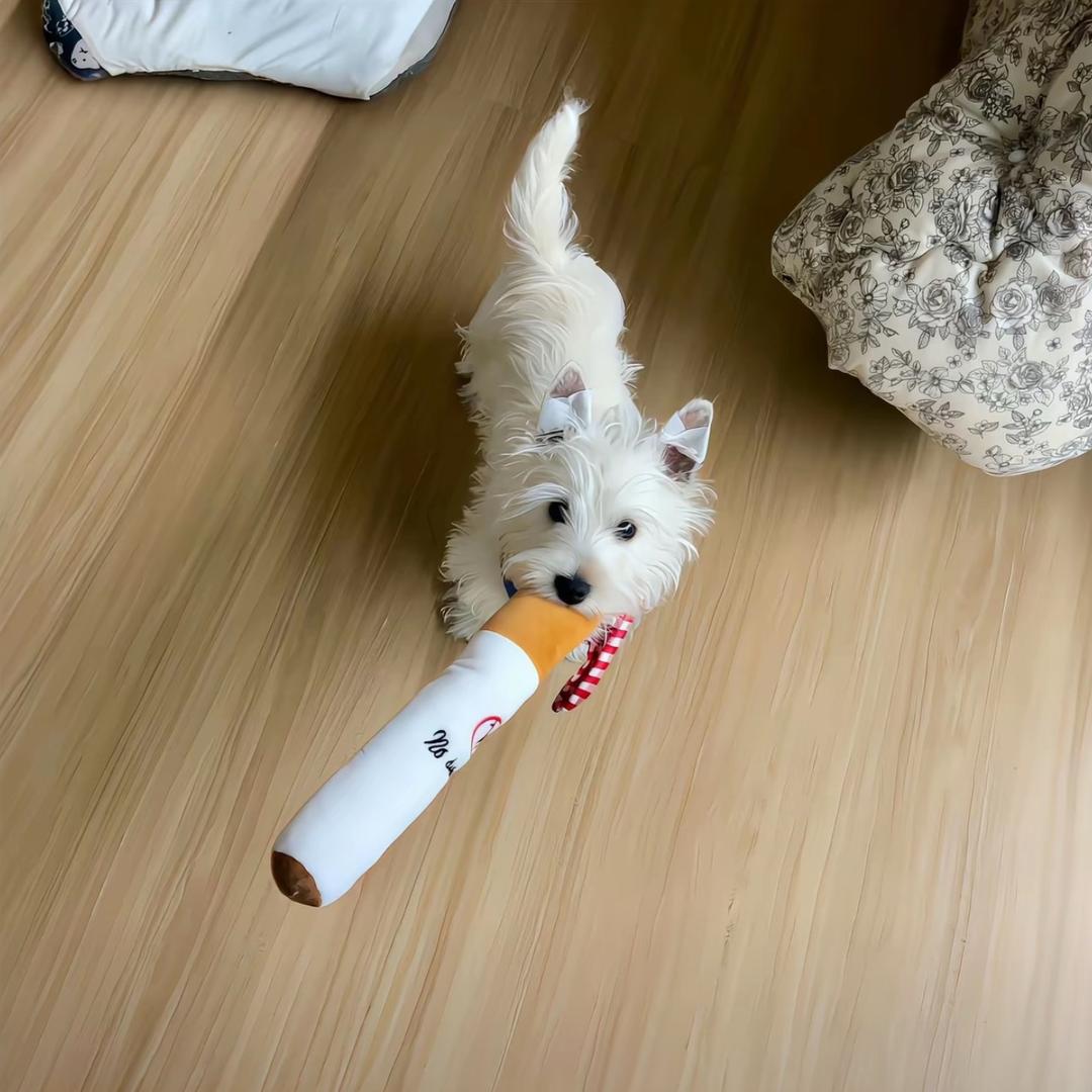 今天吃啥