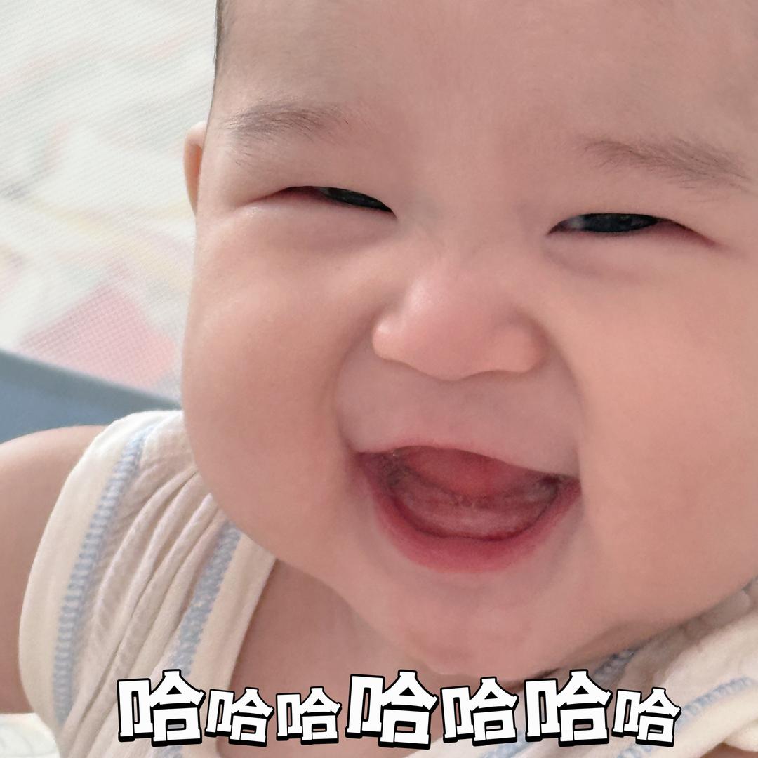 胖阿宁