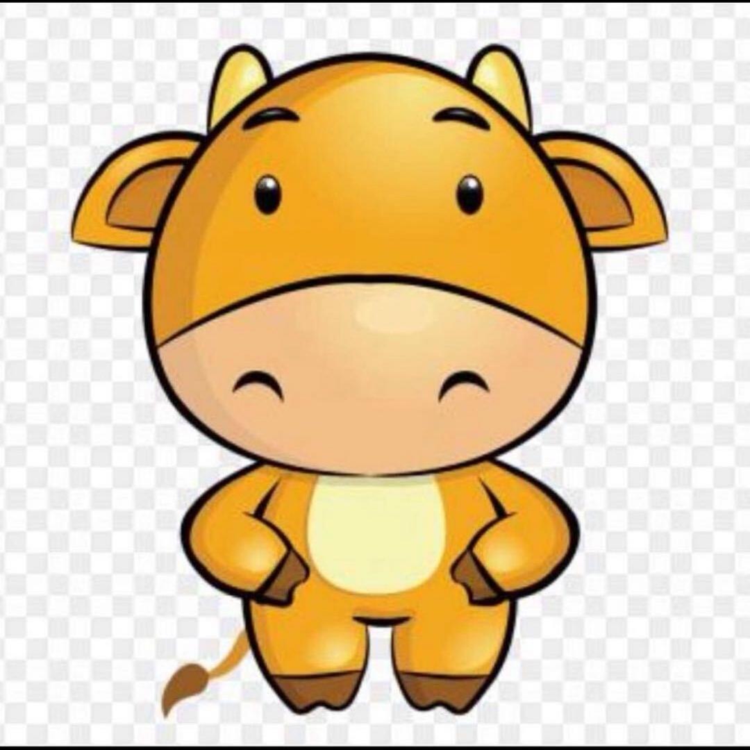 🐒鑫🐒31