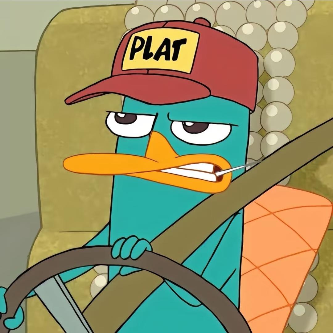 数不清有多少🐑