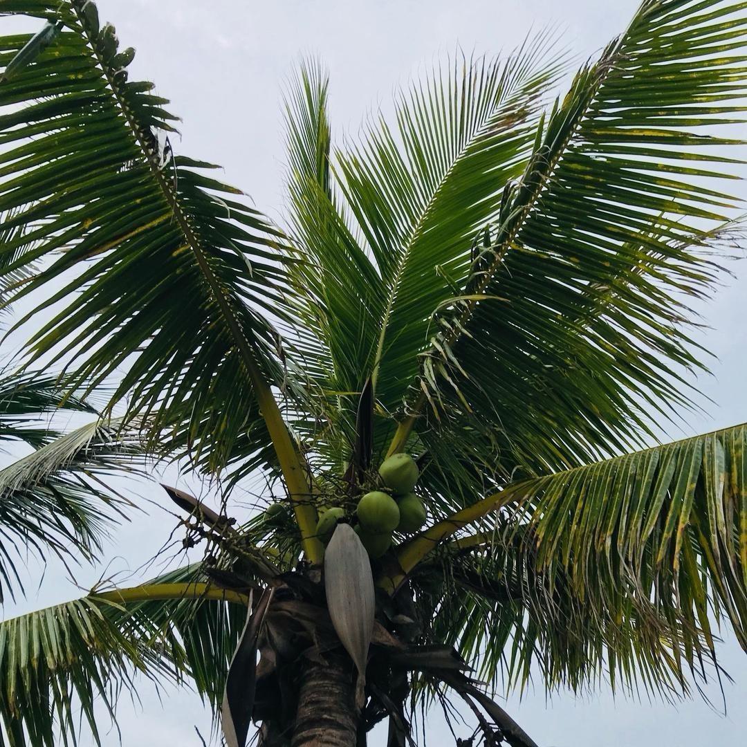 欧润橘🍊