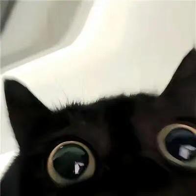 Leekr