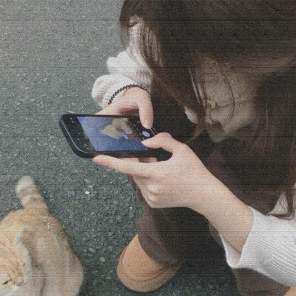 阿小猪