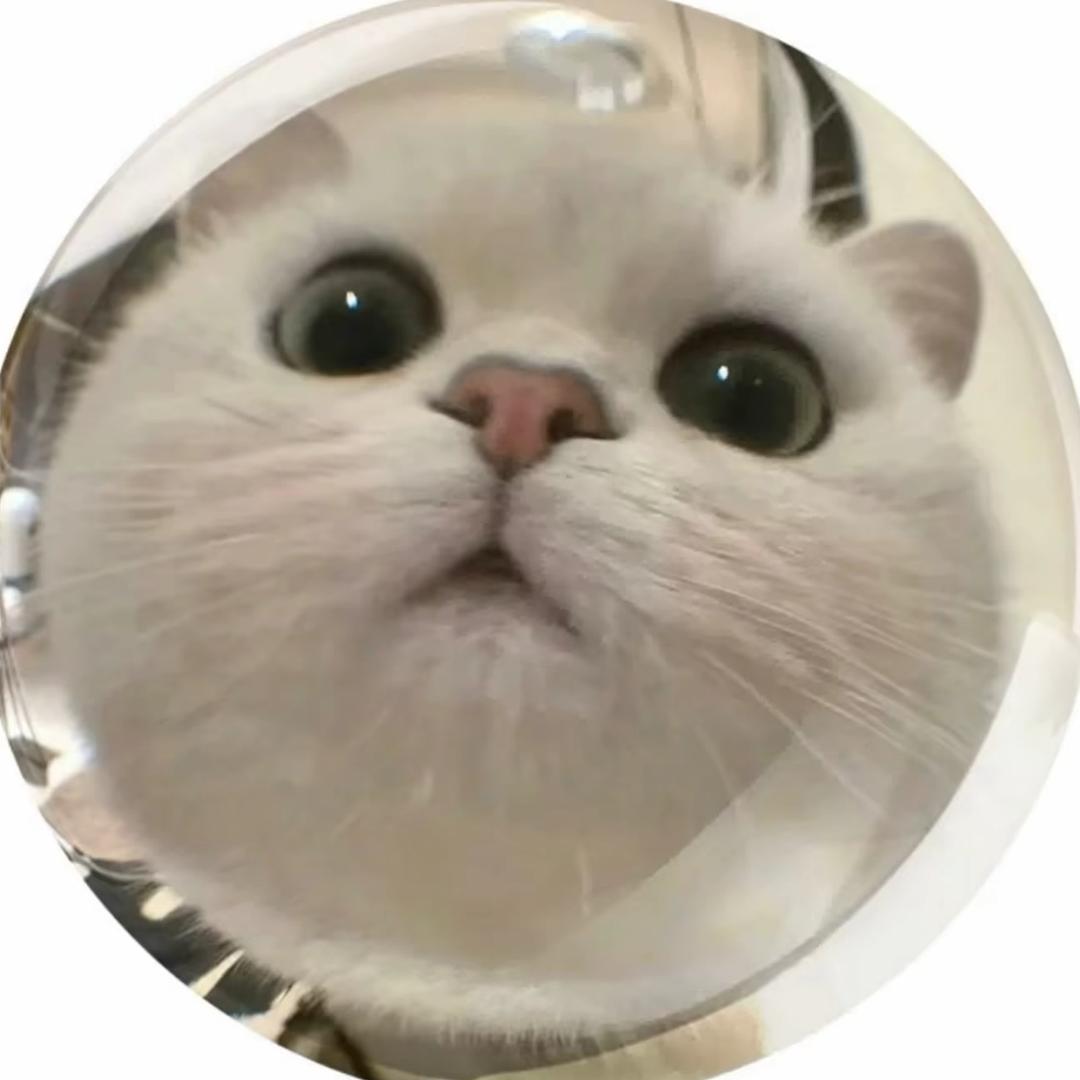 美Bo