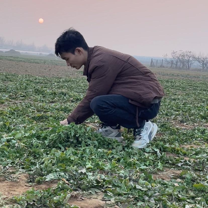 田埂上的梦想