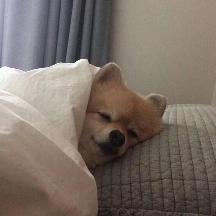 吾爱有三