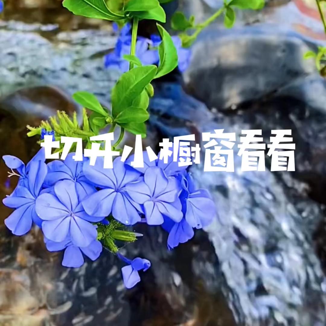 丫丫哇唔