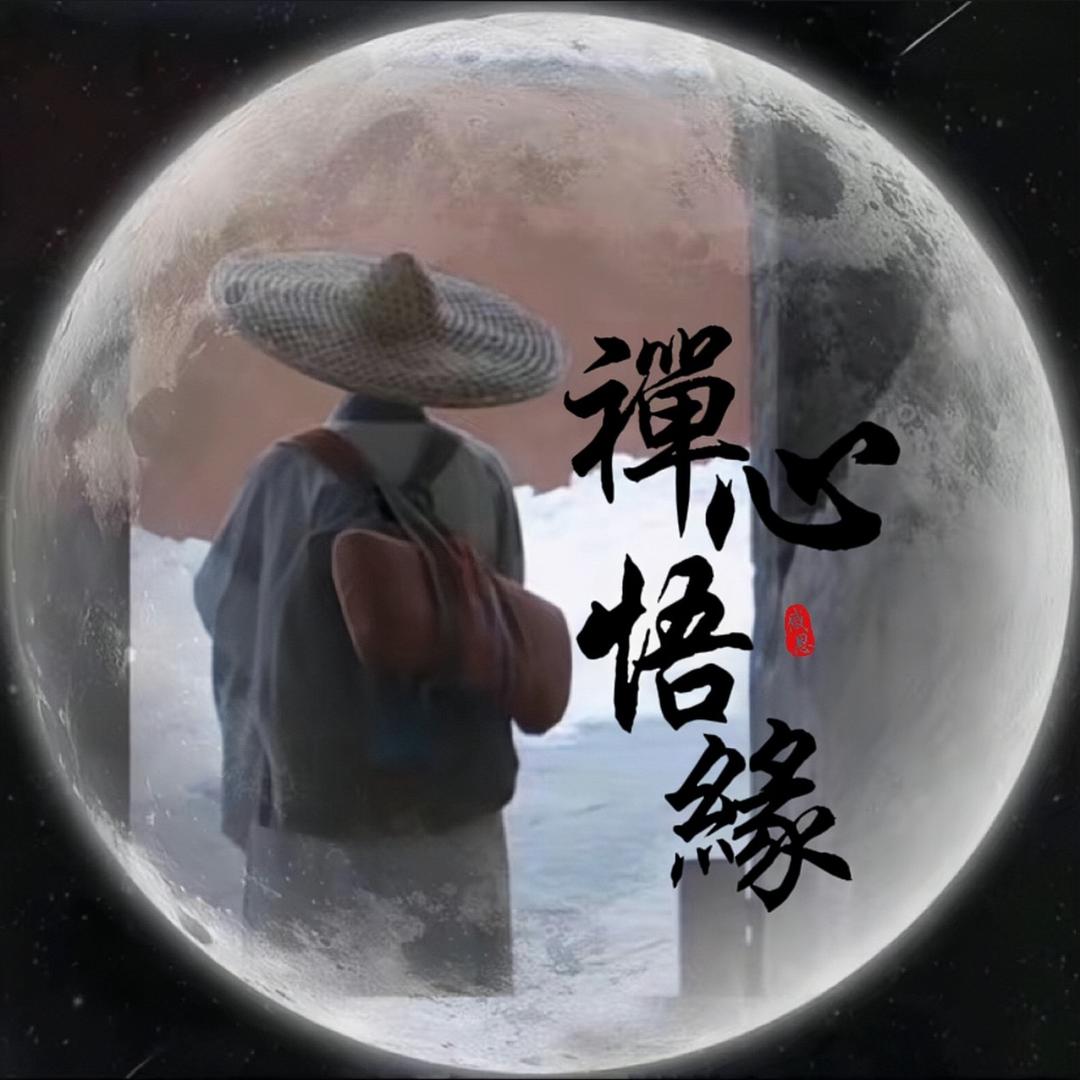 禅心悟缘