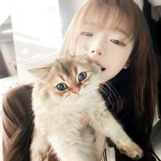 😽