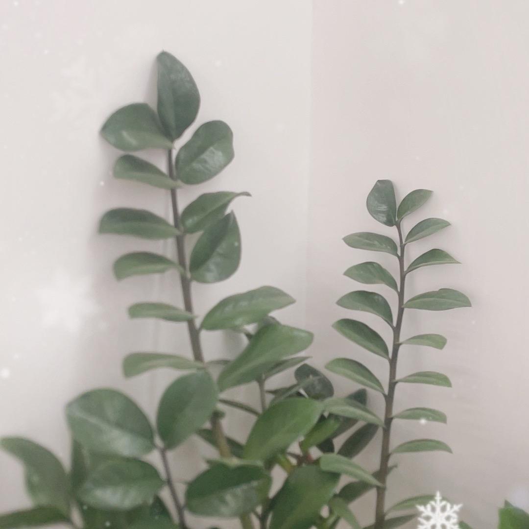 优选好物推荐1