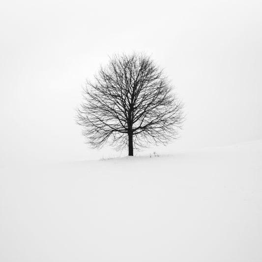 一生好强爱喝奶的男人