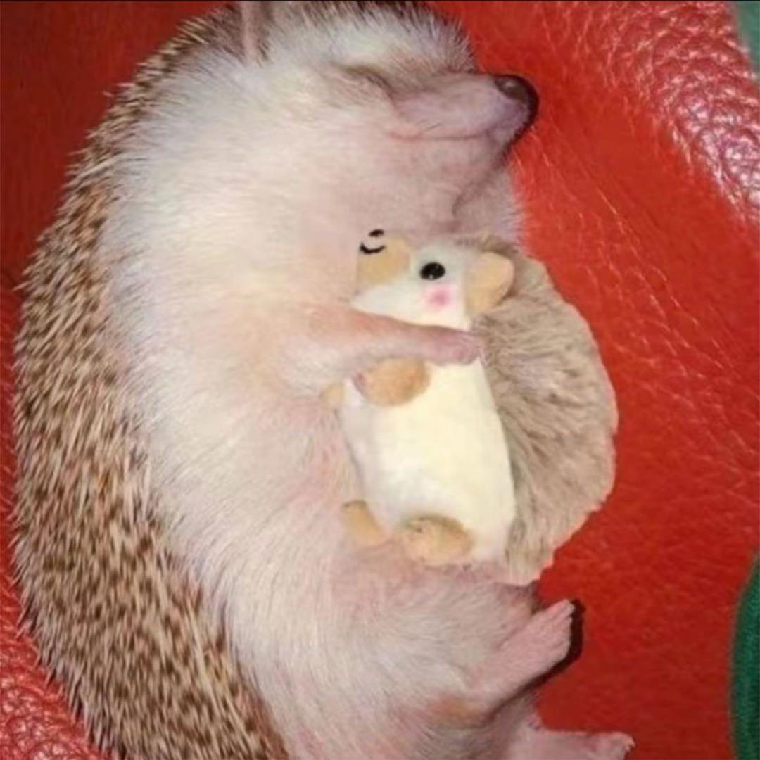 老爷