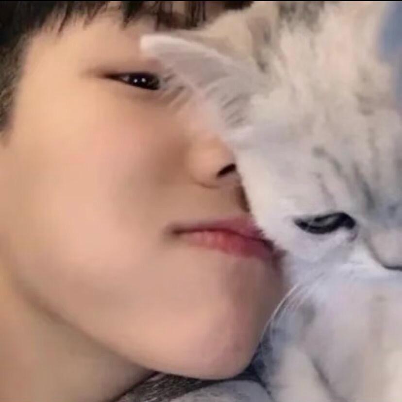 肥肥是只猫.