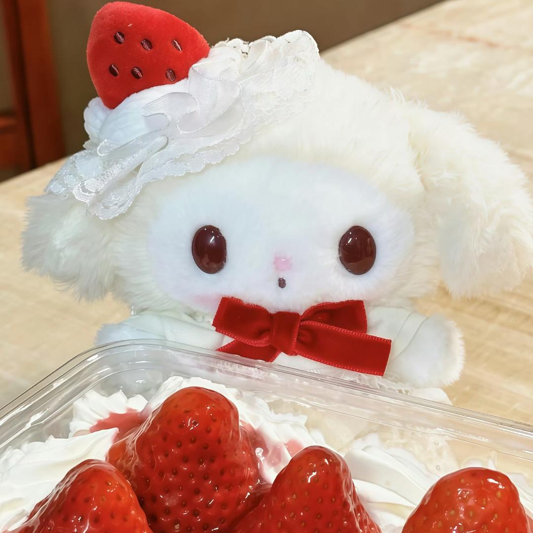 酸酸草莓醋🍓
