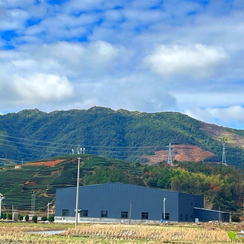 心壶口壶茶叶店