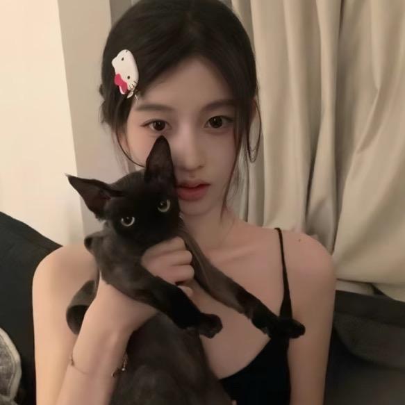 懒猫