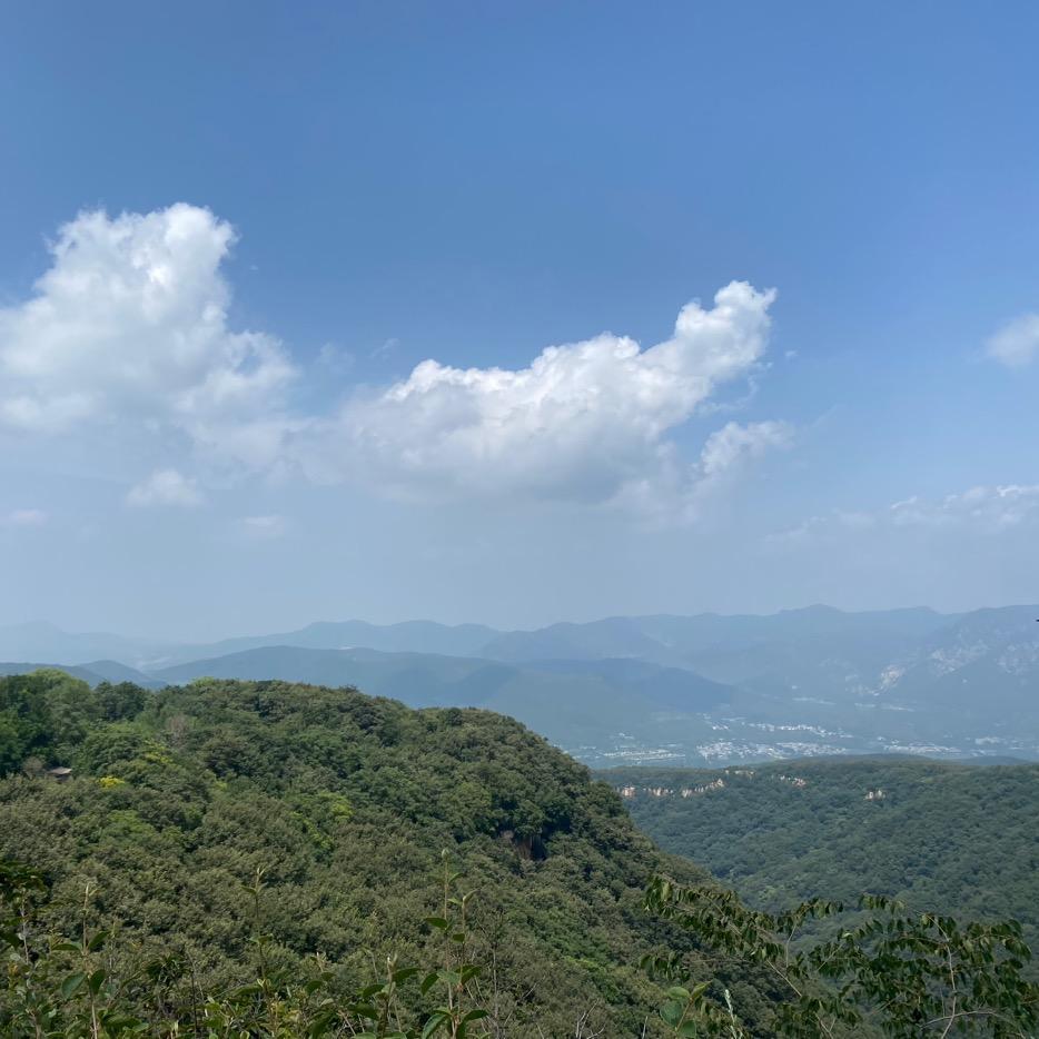 坞墙姜满堂手机城