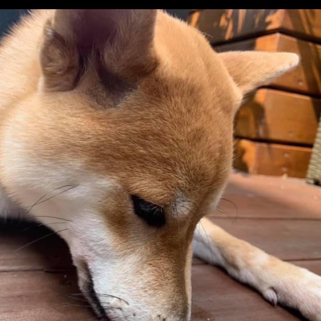 🦋 ꧁喬༒༻꧂🦋