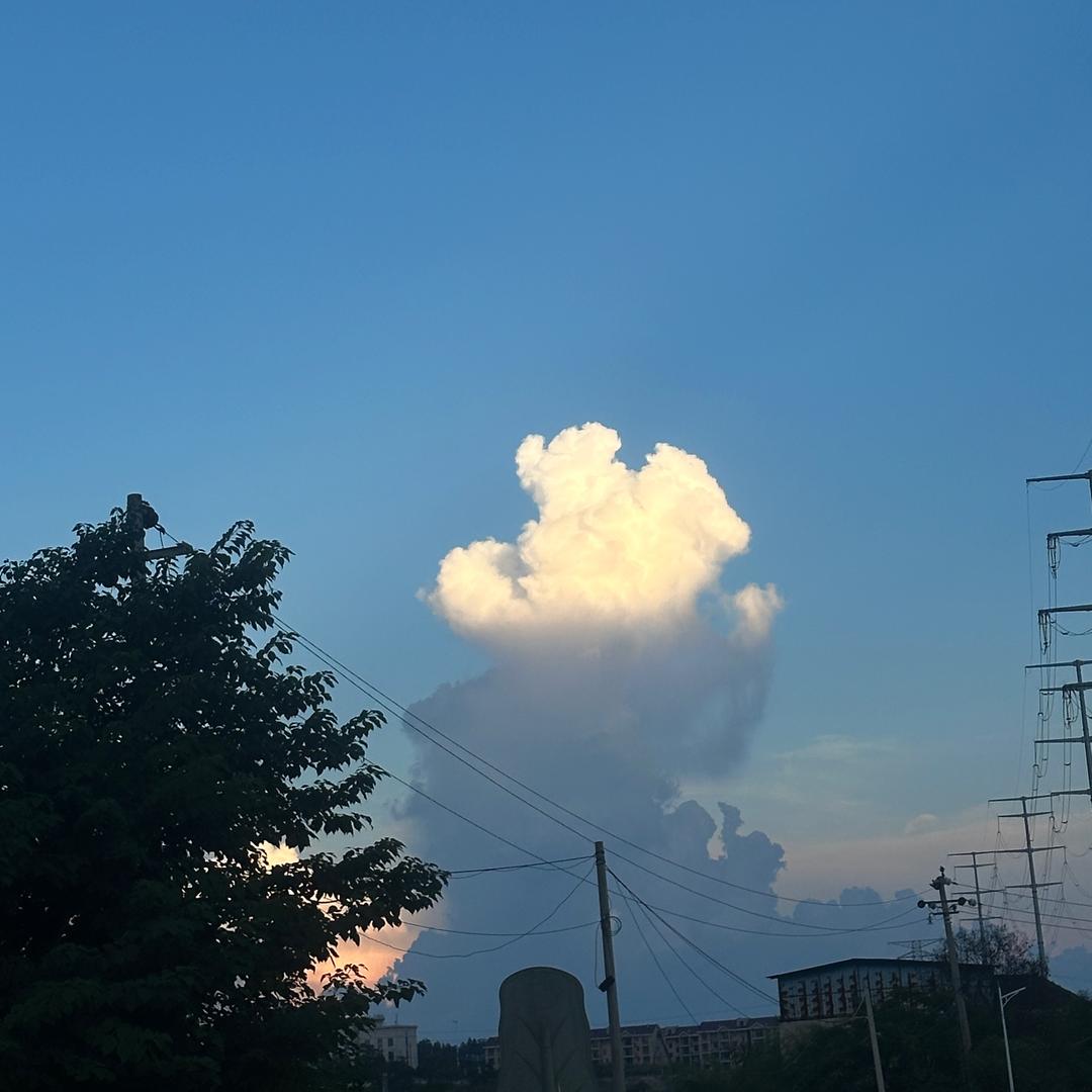 逸轩甑品百货商行