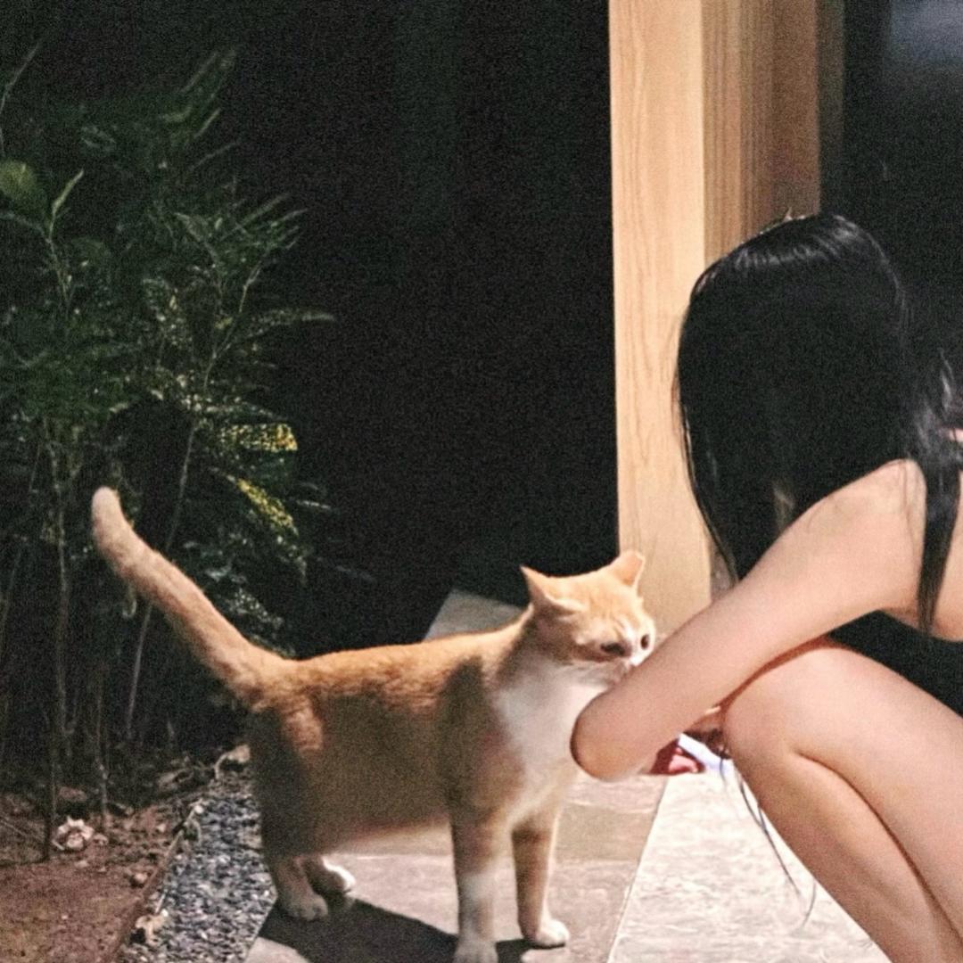 再熬夜就瘦十斤