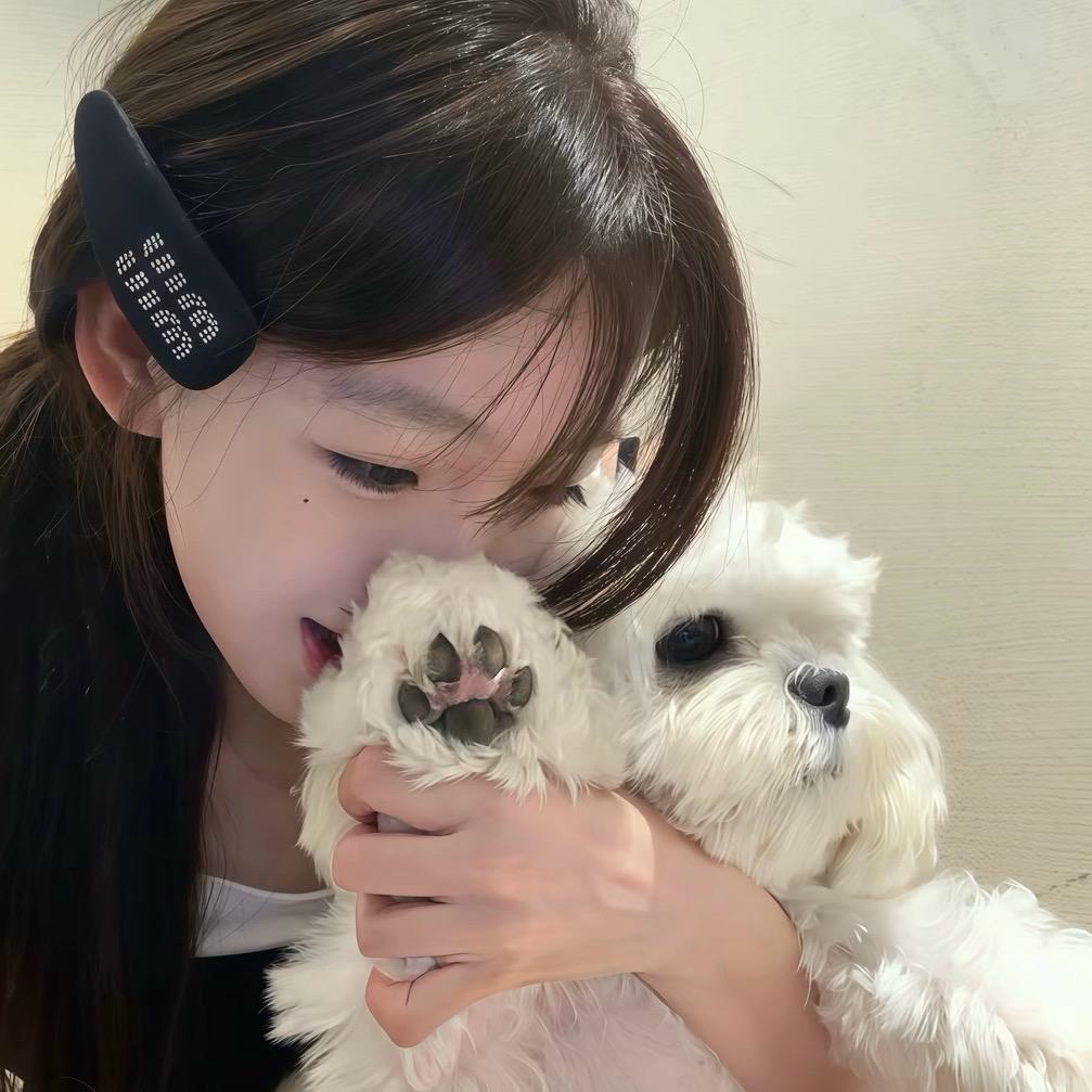 .白糖🐾