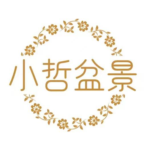 小哲盆景