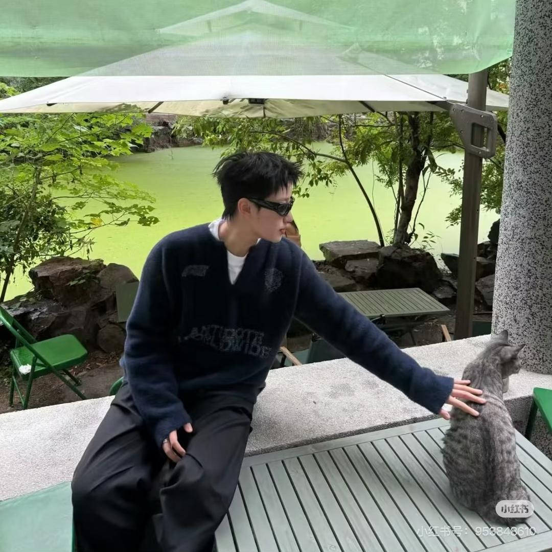 㫪🐯