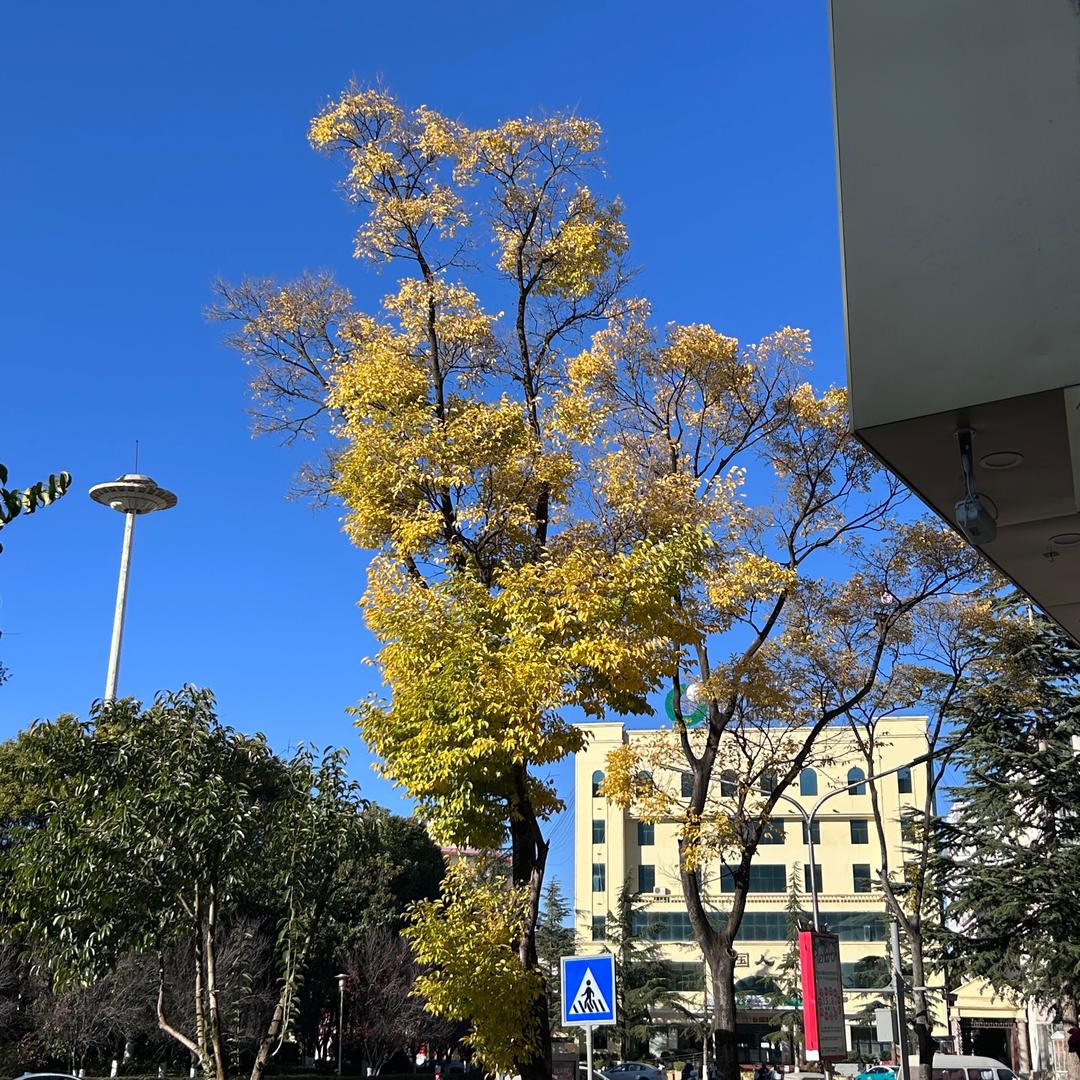 叫什么名字才不会重复