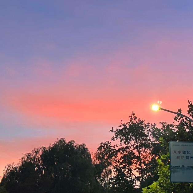 奇奇怪怪可可爱爱