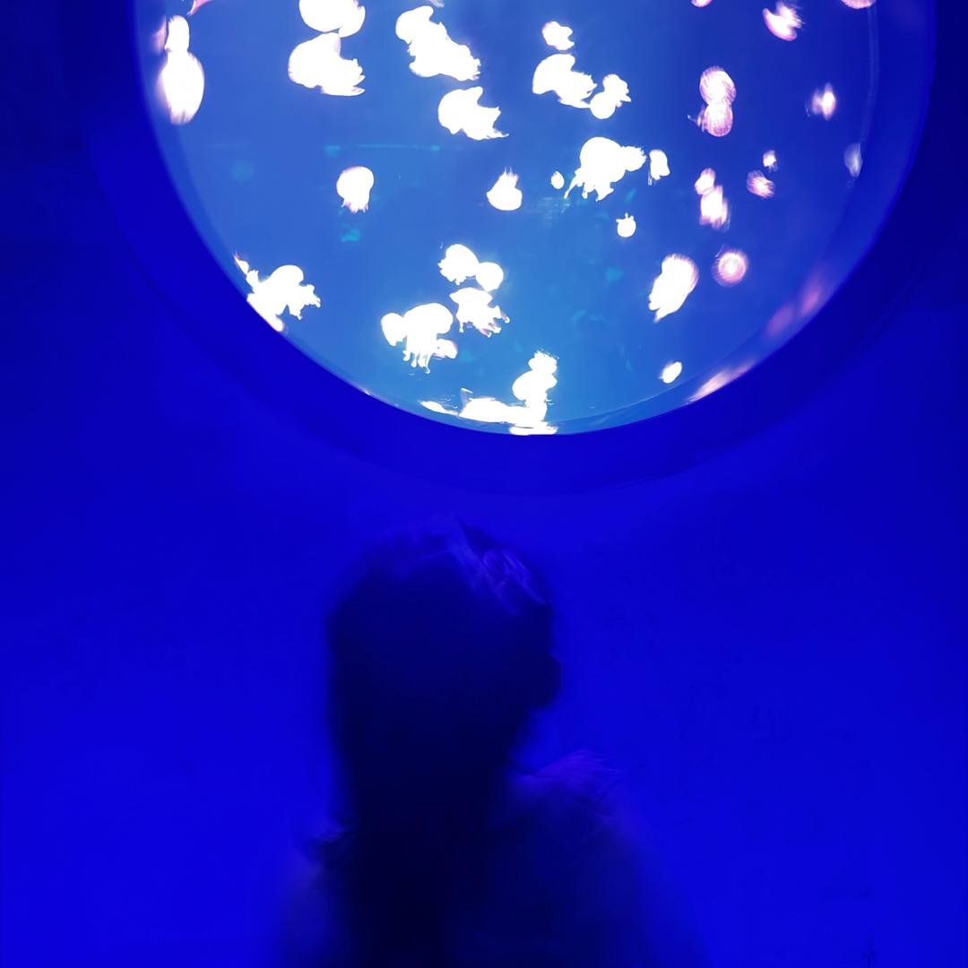 火乐