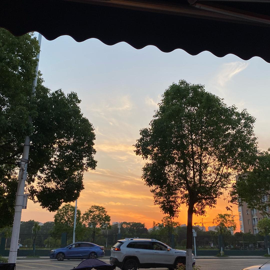 阳记烧烤