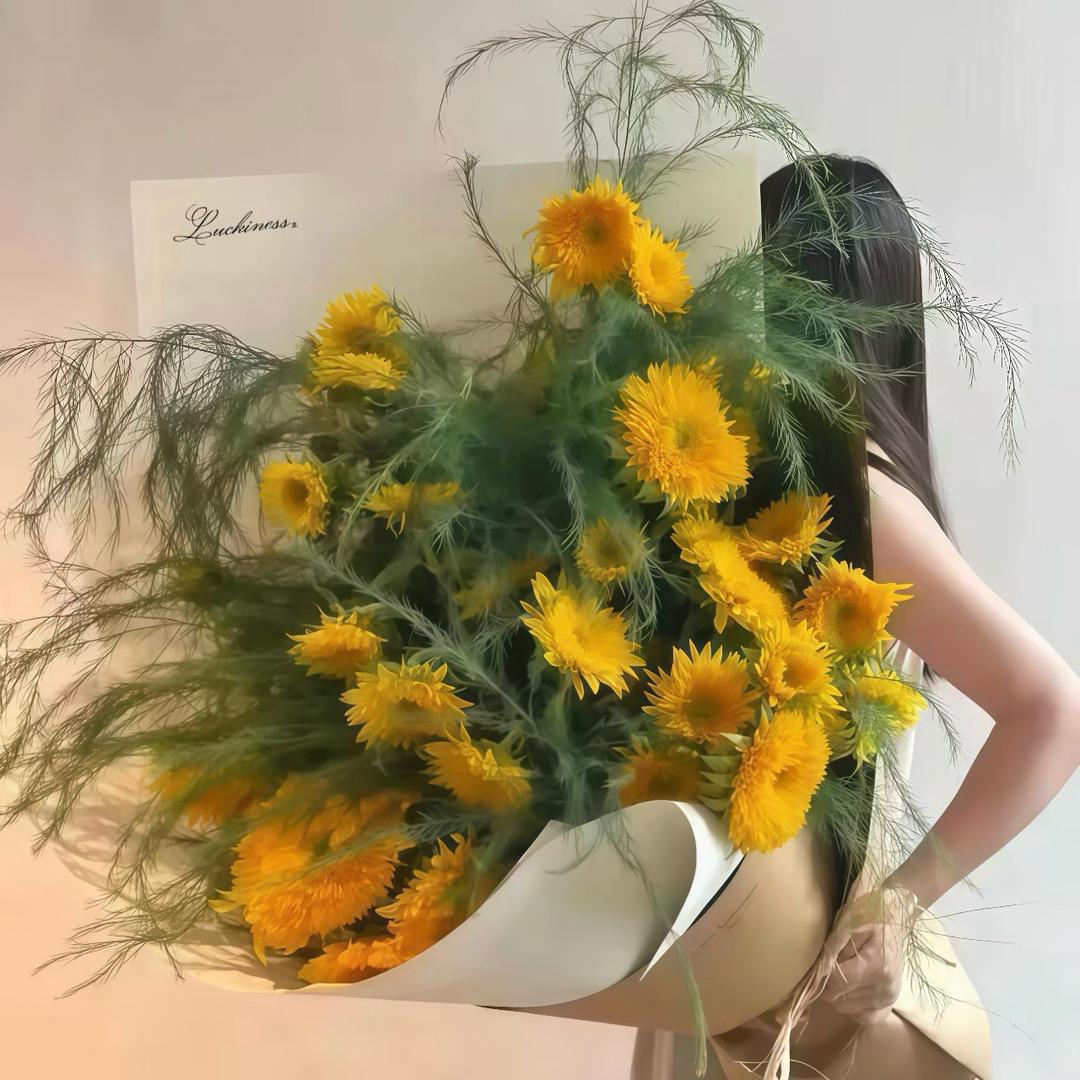 ㅤㅤㅤㅤㅤ   ㅤㅤ