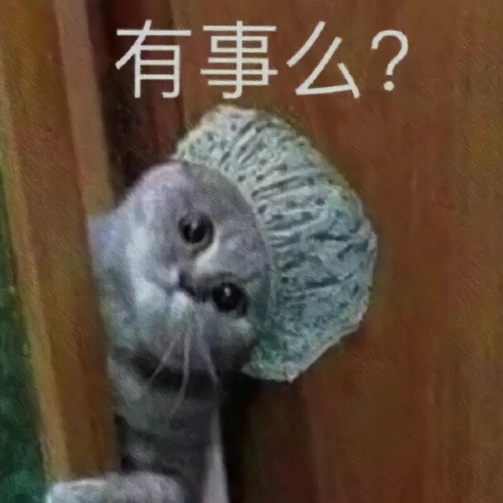章鱼老干妈