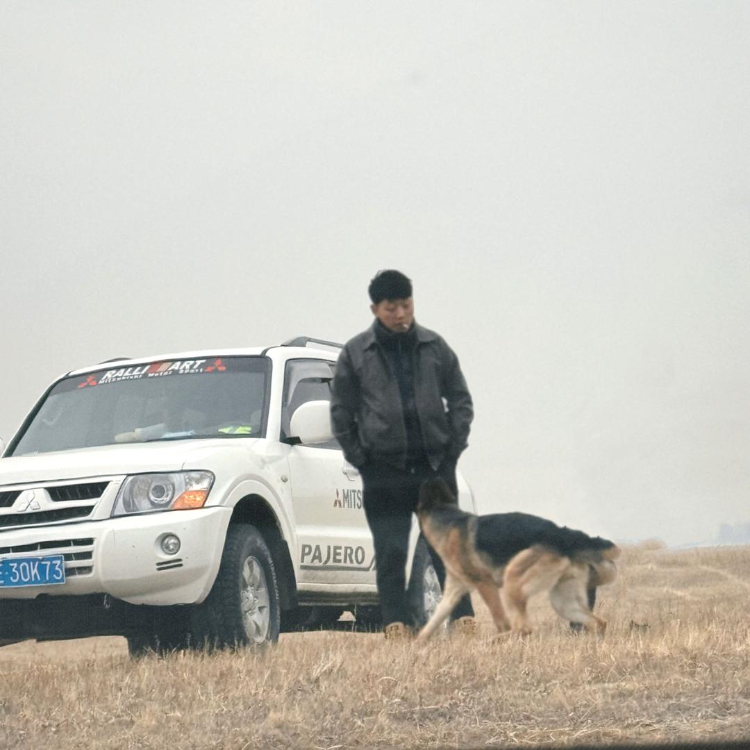 明亮饲草-天然羊草批发直营店