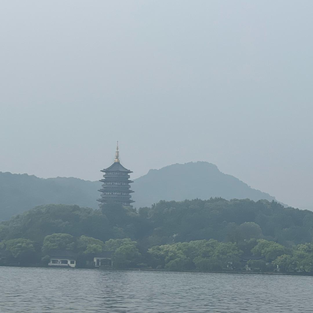 哇哈哈哇