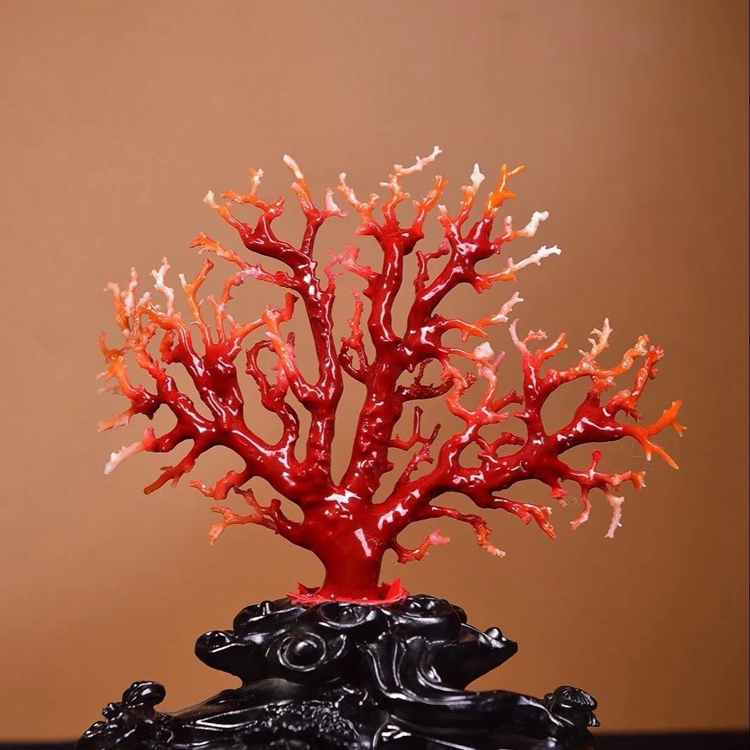 红珊阁珊选文玩