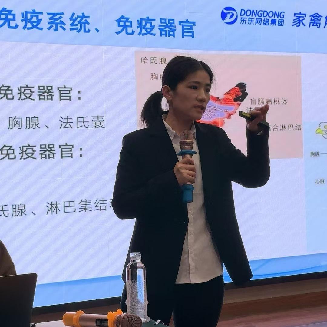 彩红养鸡技术指导