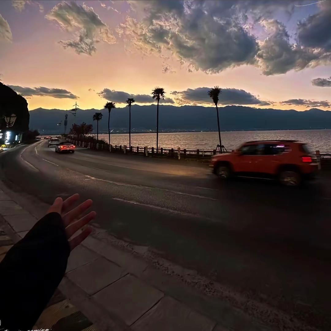 浪漫血液