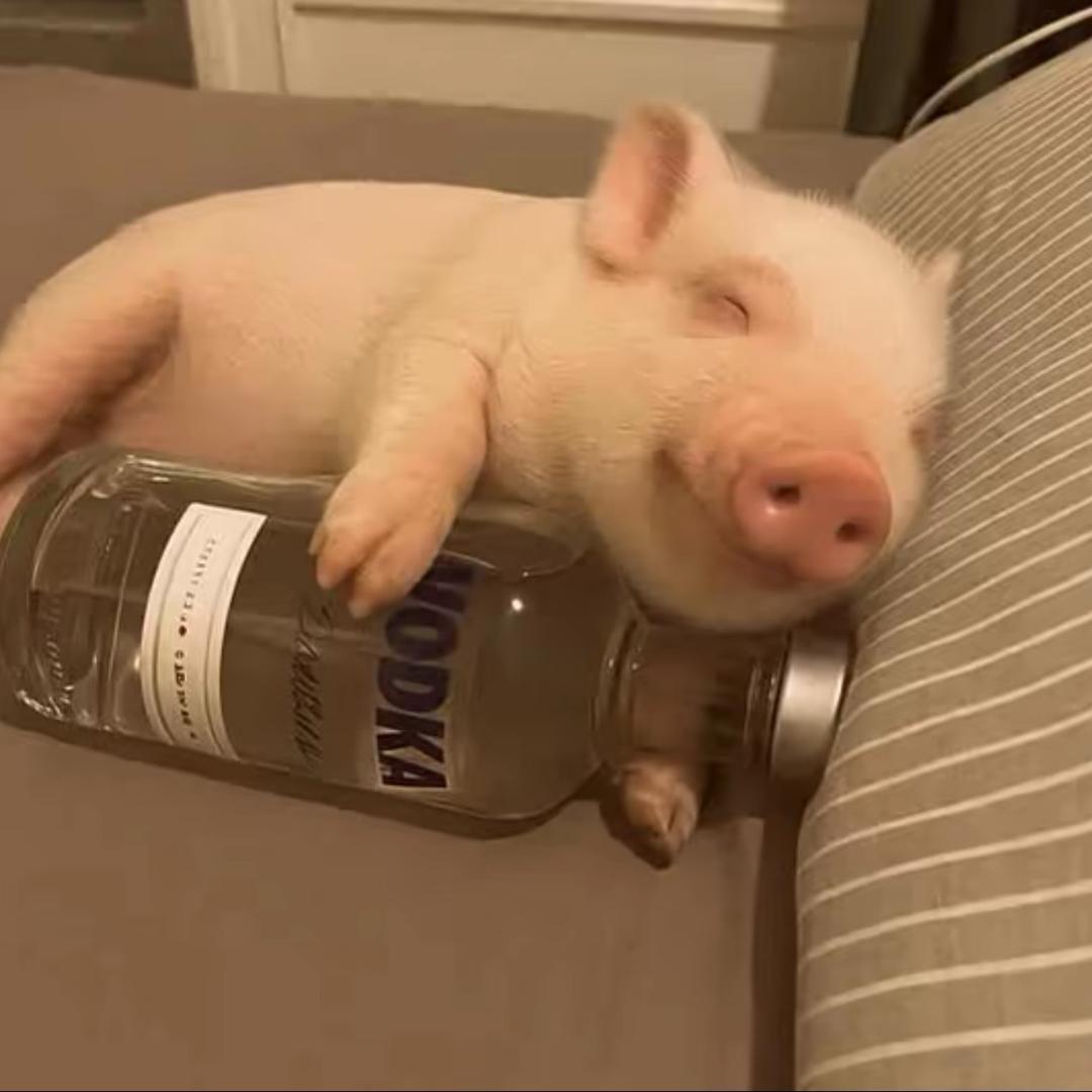把你们豆沙了