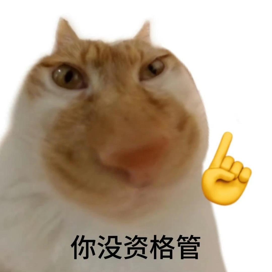 讨厌加班🐾