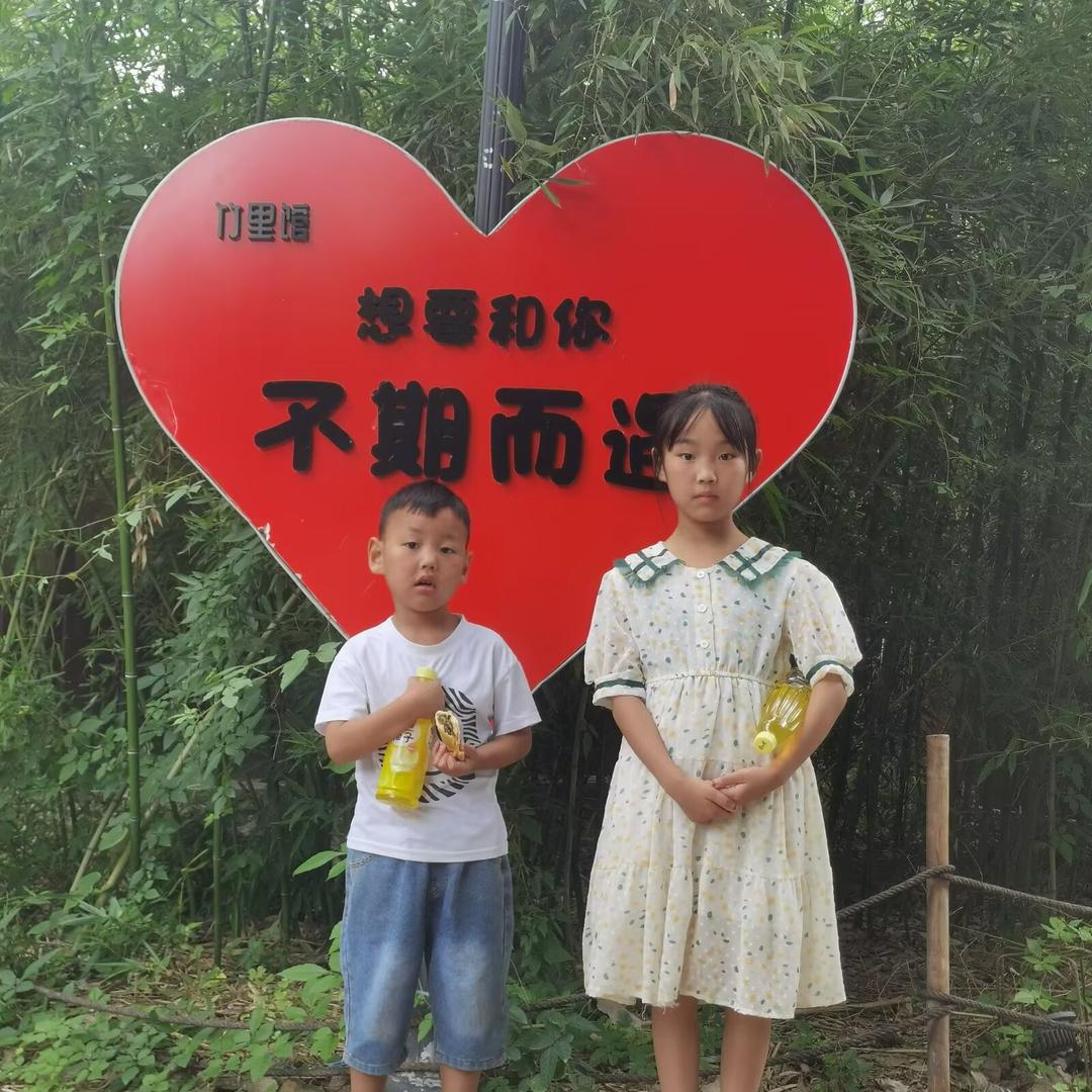 家有龙凤