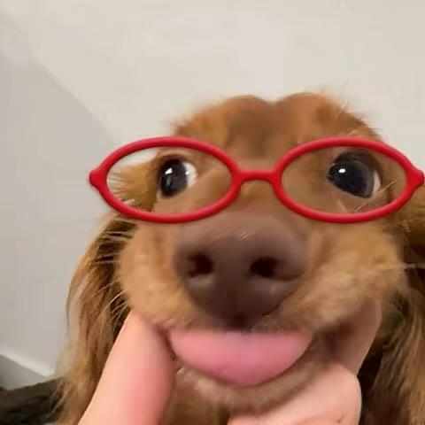 怡Y好想你
