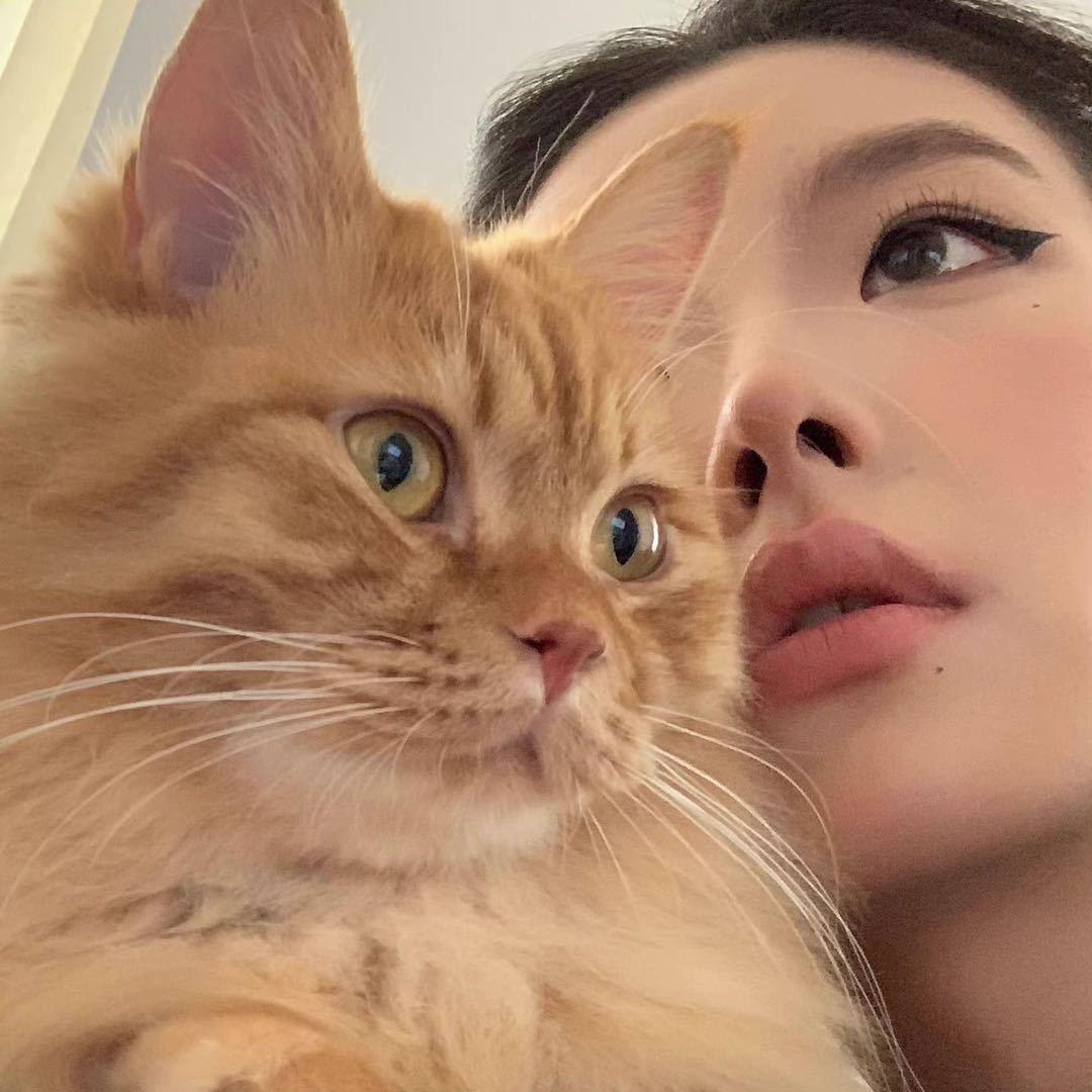 崔清和