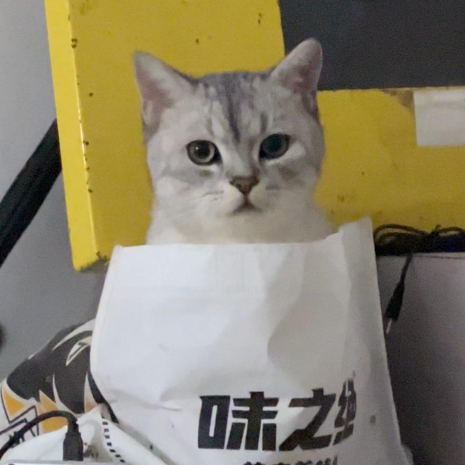 籽