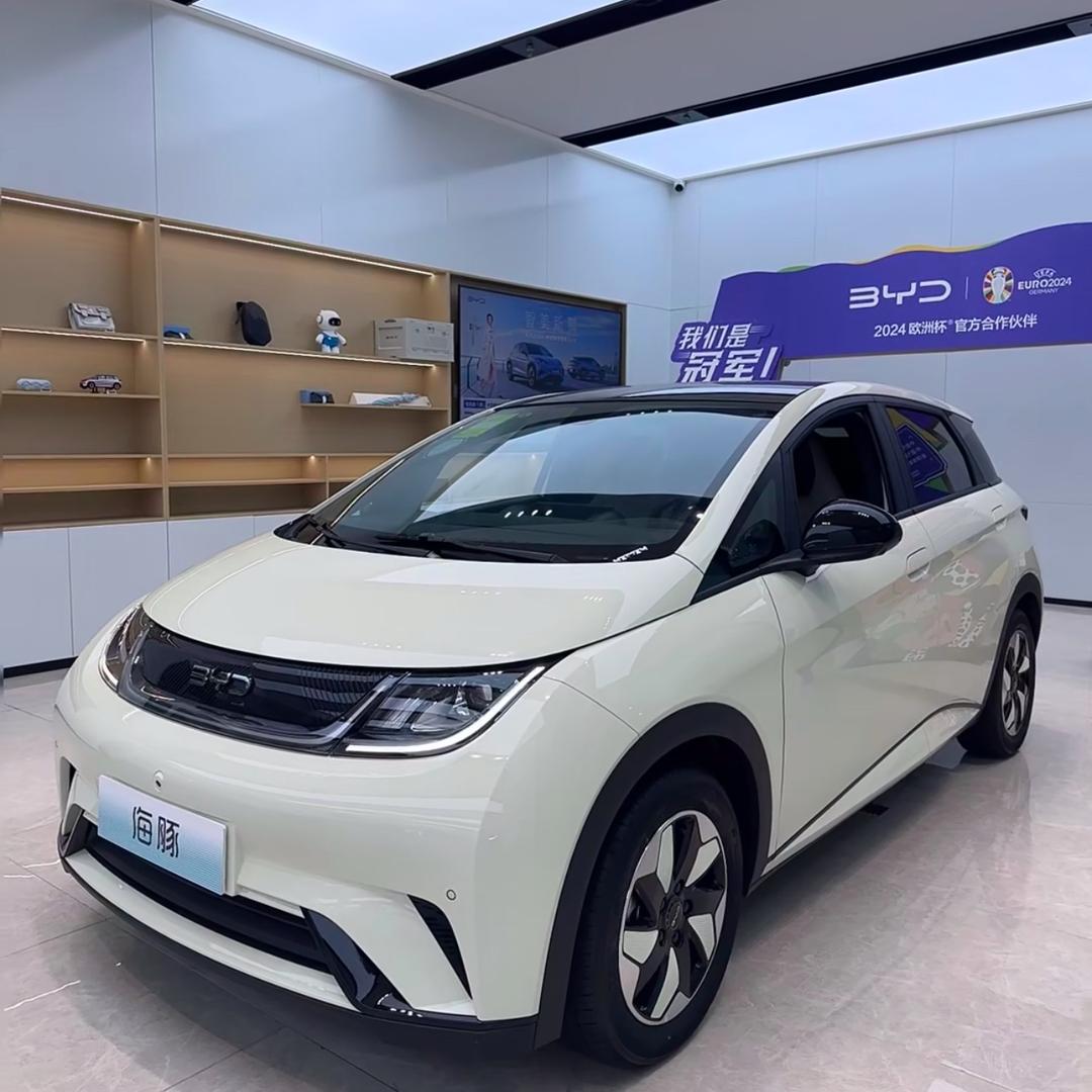 一只比亚迪海豹