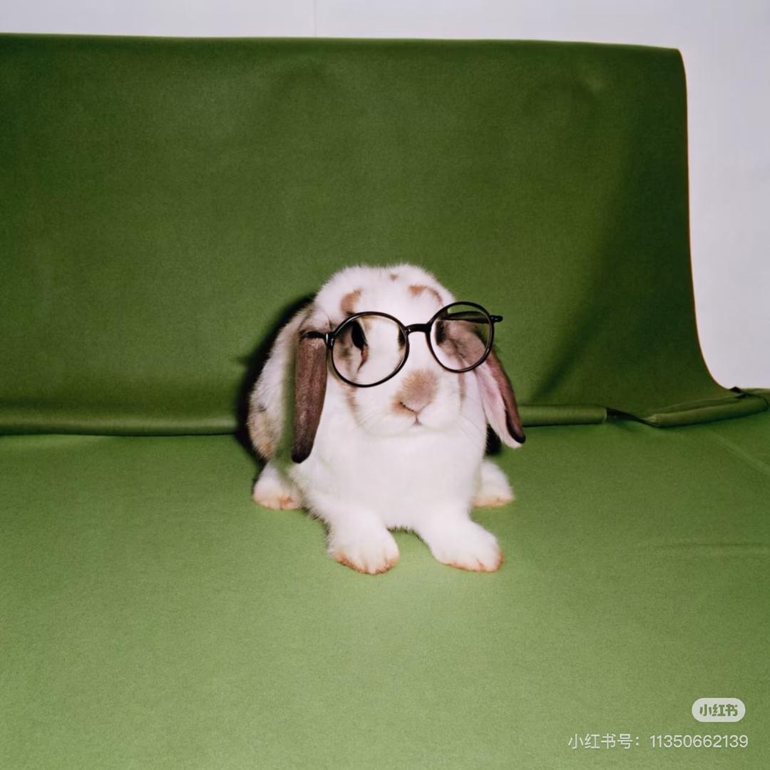 周周zz